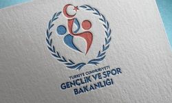 Resmi Gazete'de yayımlandı: Gençlik ve Spor Bakanlığı müfettiş yardımcılığı şartları değişti