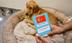 Terapi köpeği Bal, İzmir’de göreve başladı