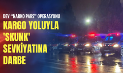 İzmir dahil 45 ilde 'Narko Pars' operasyonu: 352 gözaltı