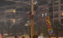 Göztepe kutlamalarında direğe çıkan vatandaş faciaya davetiye çıkardı
