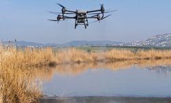 İzmir'de sivrisineklere drone destekli savaş