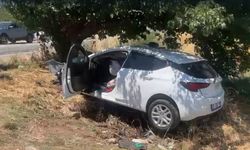 İzmir'de kaza: Sollama yaparken ağaca çarptı