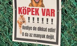 Urla’da görenleri gülümseten tabela: Kediye de dikkat edin, o da az manyak değil