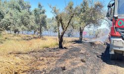 İzmir Bayındır'da korkutan arazi yangını