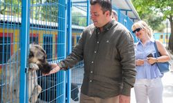 Kuşadası'nda can dostlarına özel merkez