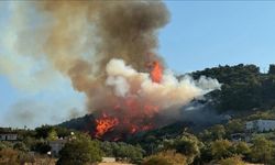 Manisa'da orman yangını! Havadan ve karadan müdahale
