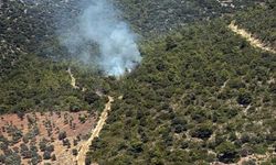 Milas'ta makilik yangını: Orman ekipleri seferber oldu!