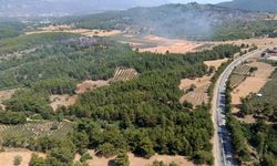 Muğla Seydikemer'deki yangın kontrol altına alındı