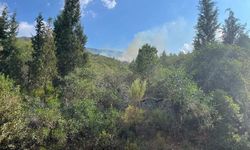 Muğla Marmaris'te orman yangını