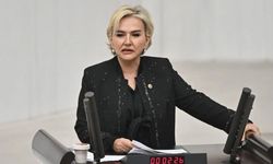 Nimet Özdemir'in yeni partisi belli oldu: 'Aynı misyonla devam edeceğim'