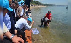 OYAK Çimento’dan Darıca Sahili’ne 6 bin yavru balık