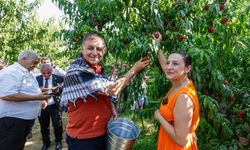 Selçuk'ta şeftali kokulu, rengarenk şenlik!