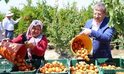 AK Partili Subaşıoğlu'ndan Denizli vurgusu: Türkiye’nin parlayan yıldızı