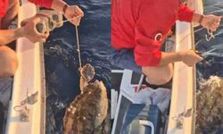 Caretta Caretta’ya vicdanları sızlatan tuzak! Ayağına kaldırım taşı bağlayıp denize attılar