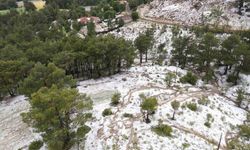 Denizli’de dolu felaketi! Aylarca verilen emek dakikalar içinde gitti