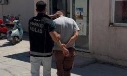 Muğla’da narkotik operasyonu: 200 kök yasaklı madde ele geçirildi
