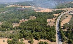 Zirai alanda başladı, ormana yayıldı! Muğla’daki yangında kritik müdahale