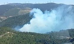 Son Dakika: Manisa Soma'da orman yangını! Havadan ve karadan müdahale başladı