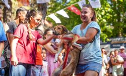 Torbalı'da patili dostlar için unutulmaz festival