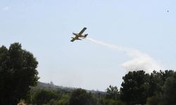 İzmir Urla'da orman yangını!