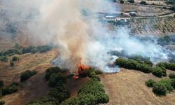 Manisa Kula'da yangın: 15 dönümlük alan küle döndü