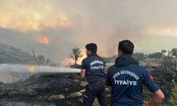 Aydın itfaiyesi bir haftada 446 yangına müdahale etti
