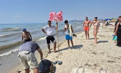 Kuşadası'nda üreme dönemindeki caretta carettalar öldü
