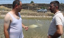 Efeler'de kanala düşen otomobilde can pazarı