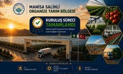 Manisa jeotermal seracılıkta Türkiye'nin yeni merkezi oluyor