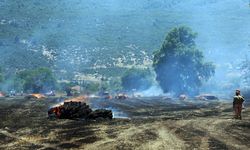 Muğla Menteşe'de korkutan yangın: Tonlarca saman kül oldu