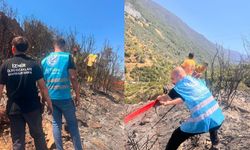 İzmir Narlıdere'deki orman yangınına Ülkü Ocakları'ndan destek