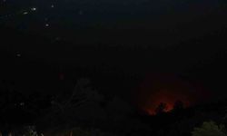 Denizli’deki orman yangını gece saatlerinde rüzgarın etkisiyle tekrardan etkili oldu