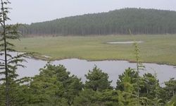 Buldan Yayla Gölü İçin İptal Edilen İhale Yeniden Açıldı