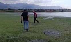 Denizli Gökpınar Barajı’nda kaçak avcılığa geçit yok!