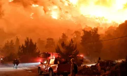 40 dereceyi aşan sıcaklık Yunanistan'ı taktı!: Orman yangınları sürüyor!