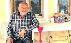 Seferihisar'daki ayı saldırısı sonrası İzmir Barosu valiliğe başvurdu