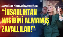 AK Parti İzmir milletvekilinden sert sözler: İnsanlıktan nasibini almamış zavallılar!