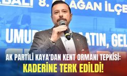AK Partili Kaya'dan kent ormanı tepkisi: Kaderine terk edildi!