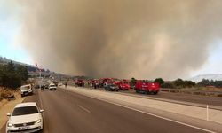 Antalya'da orman yangını: D-400 Karayolu trafiğe kapatıldı!
