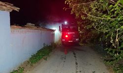 Aydın'da odunlukta başlayan alevler müstakil eve sıçradı