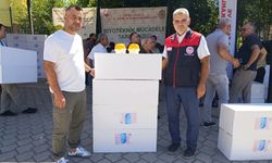 Denizli’de Ayvada Kalıntısız Üretim Hamlesi
