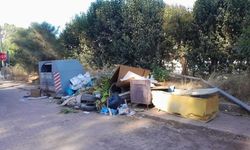 Marmaris’te sorumsuzluğun bu kadarı: Kameralar devrede, cezalar yolda!