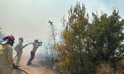 Balıkesir'de orman yangını! Havadan ve karadan müdahale
