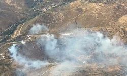Muğla Bodrum'daki yangın kontrol altına alındı