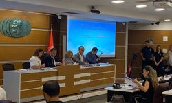 Bornova Belediyesi’nde 'sokak hayvanları' tartışması: 'İşin götürülmek istendiği yer uyutma ama onu ben yapamam'