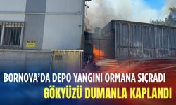 Bornova’da depo yangını ormana sıçradı: Gökyüzü dumanla kaplandı