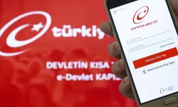 Bu değişiklik herkesi ilgilendiriyor: E-Devlet detayı!