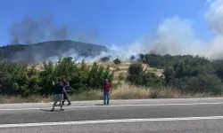 Çanakkale Ayvacık'ta orman yangını! Ekipler seferber oldu