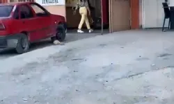 Çekiçli kadının öfkesi: Sinir krizi geçirdi, tamirhaneyi tuz buz etti!