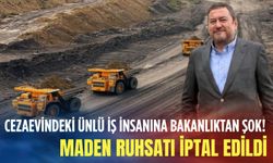 Cezaevindeki ünlü iş insanına bakanlıktan şok! Maden ruhsatı iptal edildi